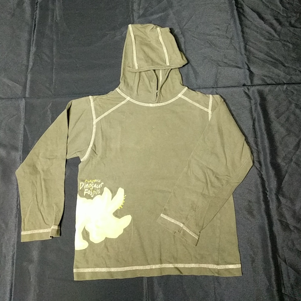 🦕Boys dinosaur t-shirt Hoodie